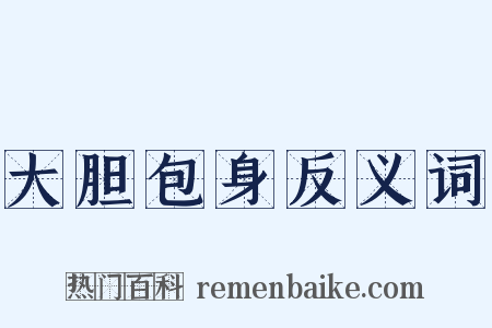 大胆包身反义词是什么意思的图片